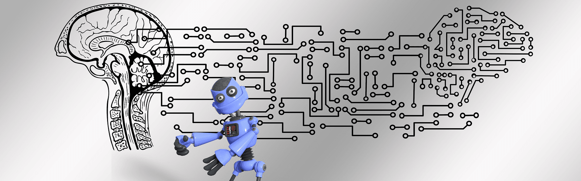 Le principali clausole del contratto di rete