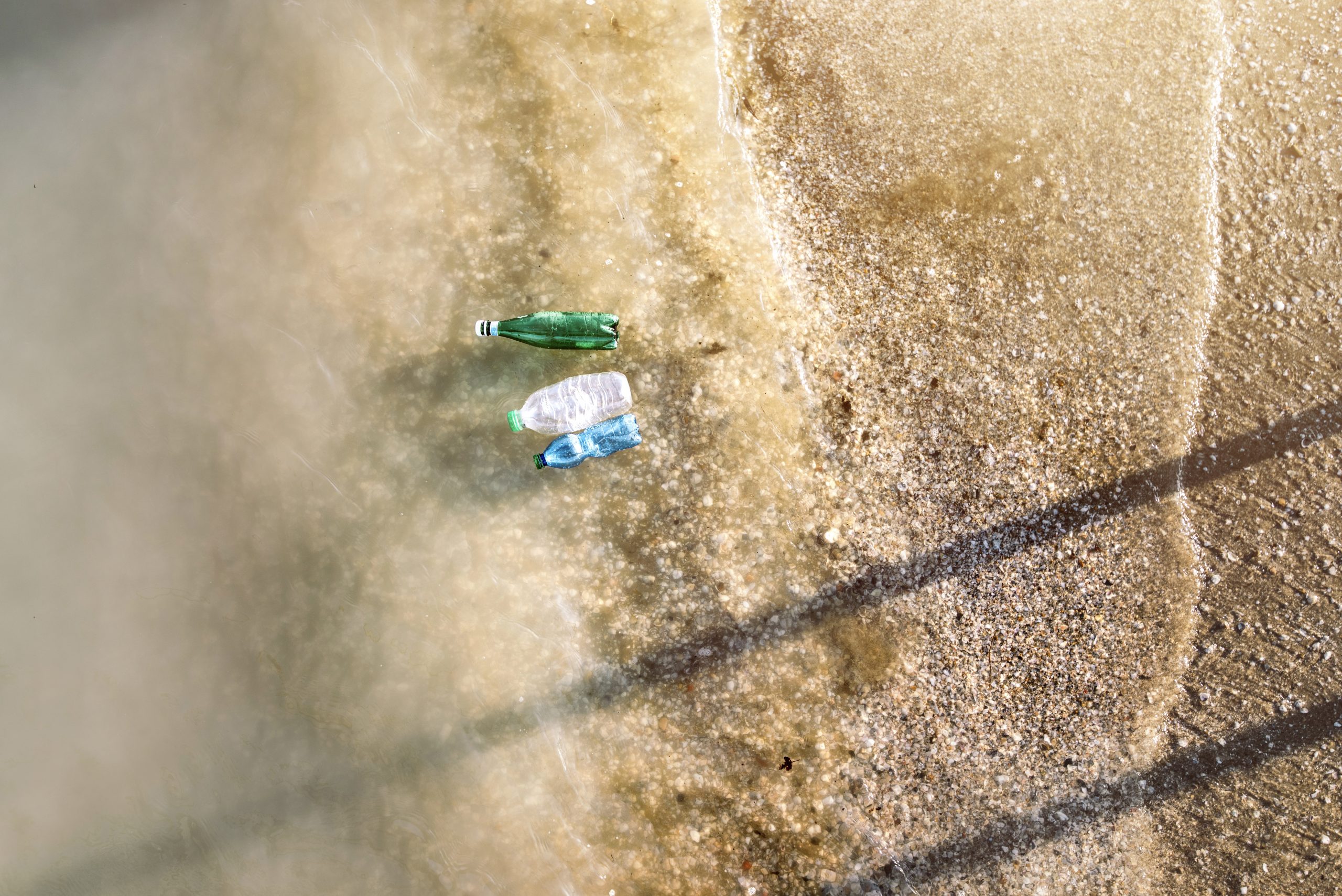 I nuovi delitti contro l’ambiente